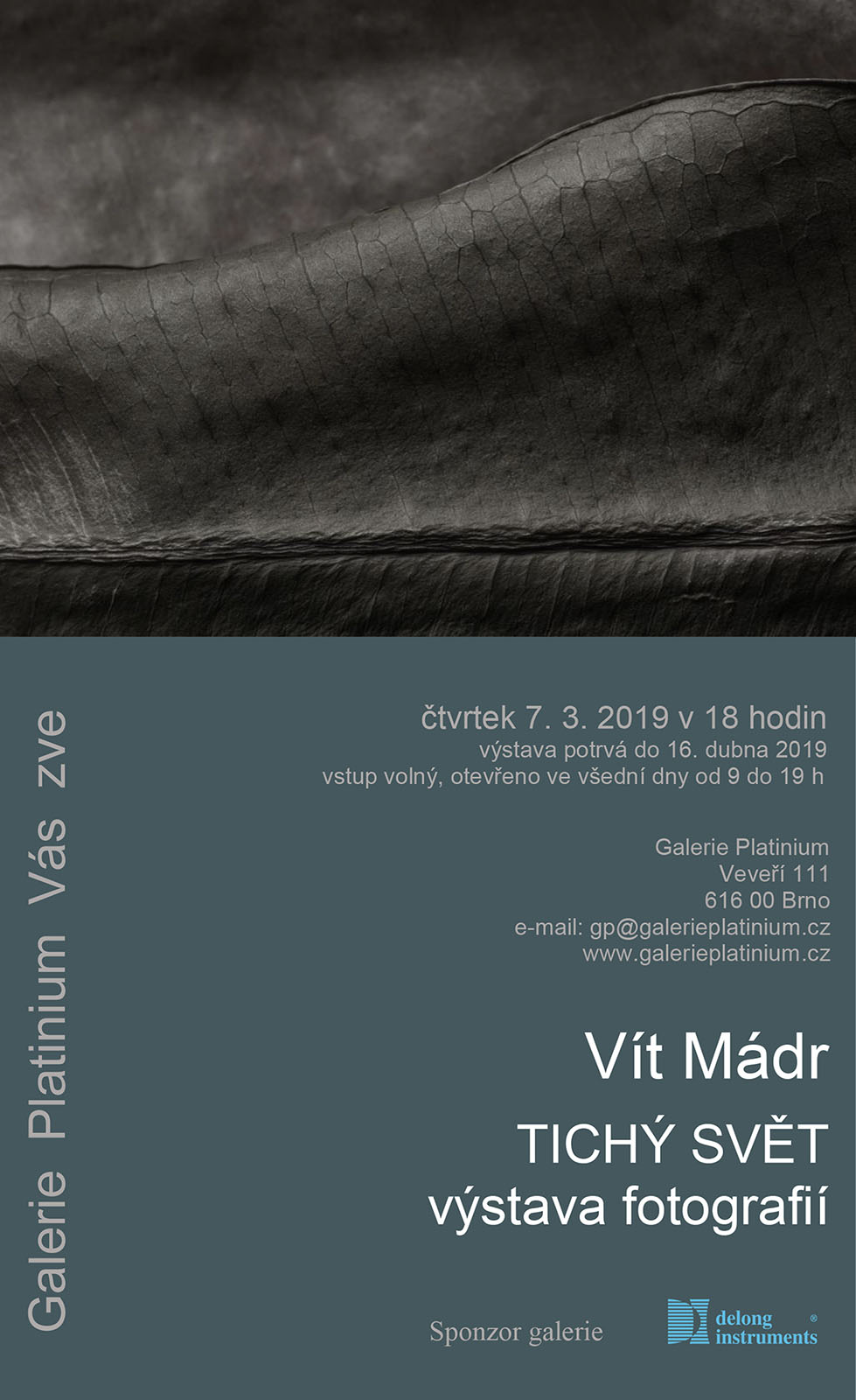 Vít Mádr - TICHÝ SVĚT