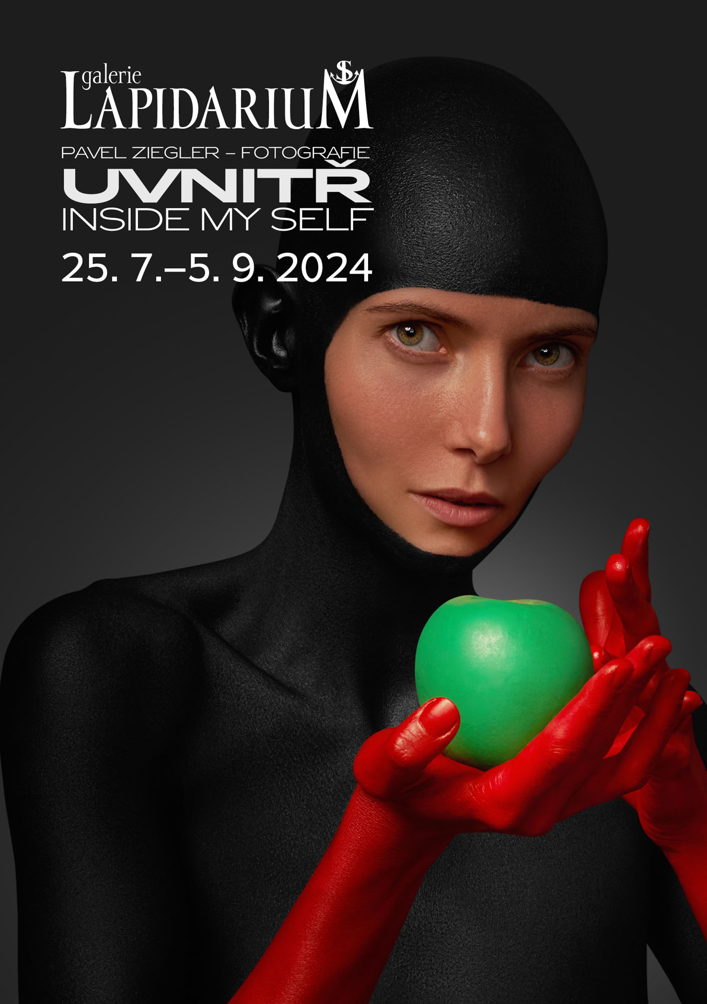 Pavel Ziegler - Uvnitř