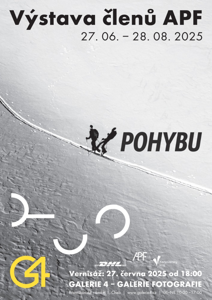 V POHYBU - výstava členů APF