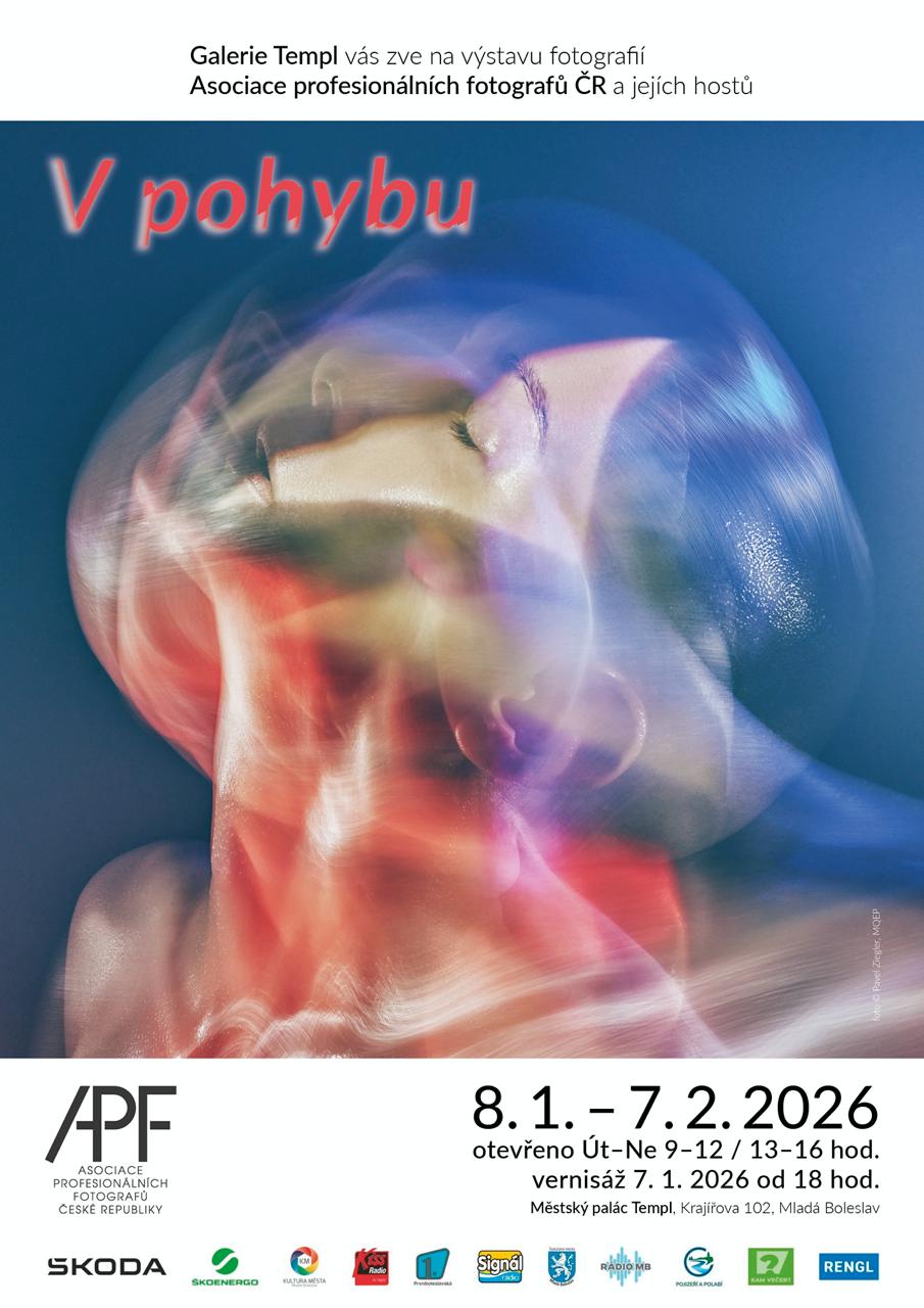 V pohybu - výstava členů APF